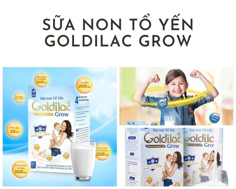 Sữa non tổ yến goldilac grow Việt Nam tốt không? có giá bao nhiêu ?  mua chính hãng ở đâu?