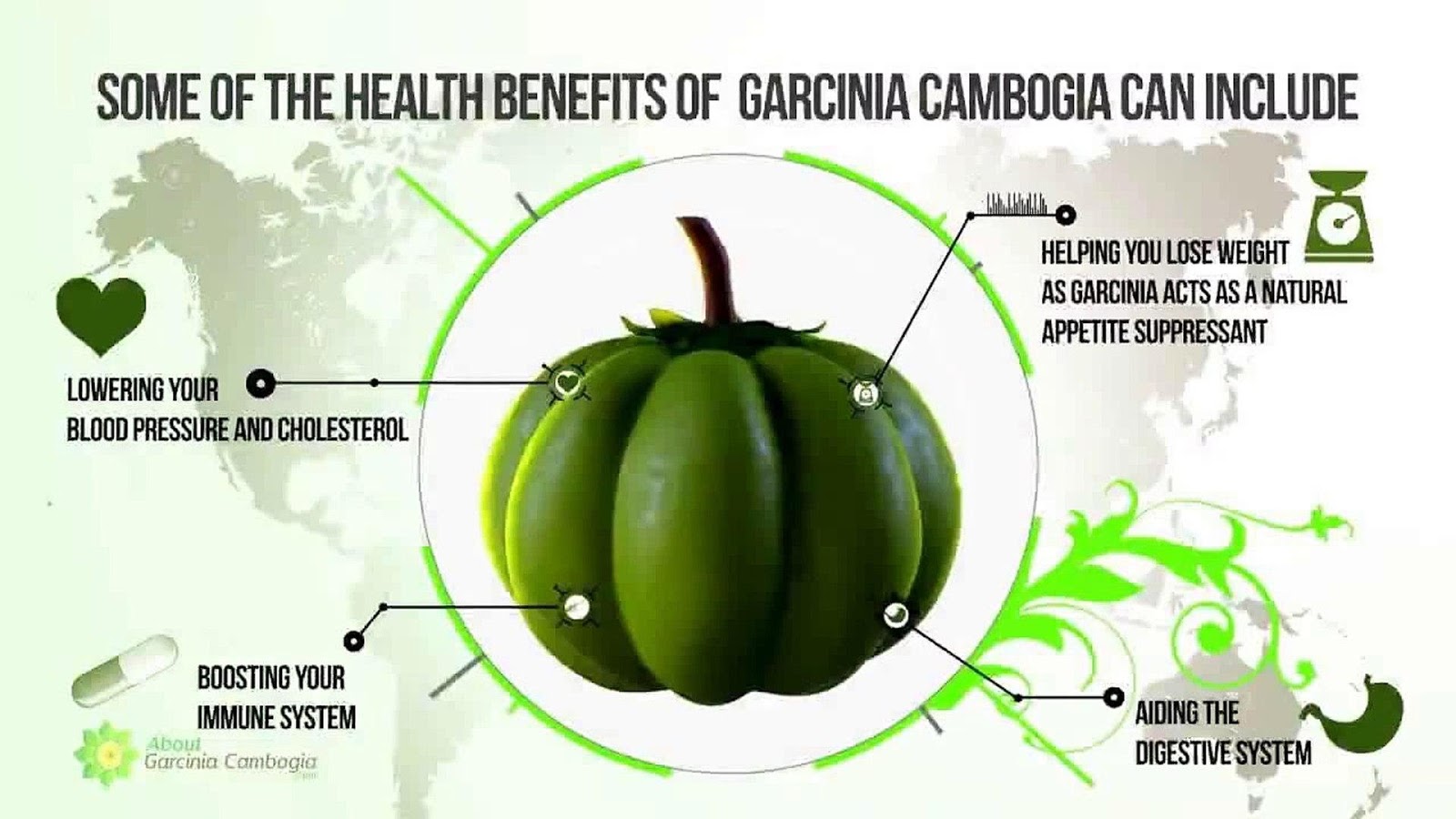 Garcinia Extract Plus - TH có thành phần